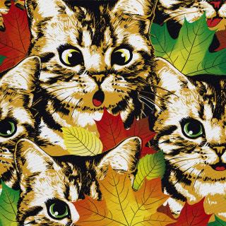 Látka s potiskem nepromokavý polyester - kotě v listí