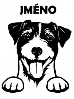 Samolepka Jack russel