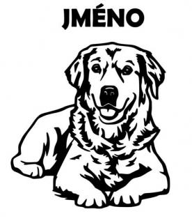Samolepka Zlatý retriever