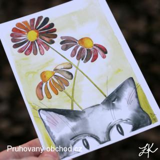 Kočičí jaro - pohlednice