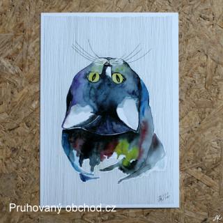 Kočka - pohlednice