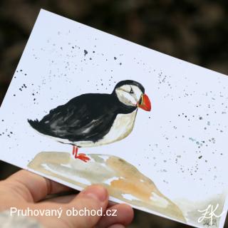 Papuchalk - pohlednice