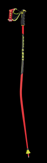 LEKI WC Racing GS 125