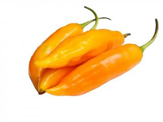 Aji Amarillo - semínka chilli