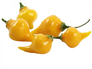 Biquinho amarela - seminka chilli