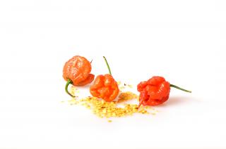 Carolina Reaper red - semínka chilli