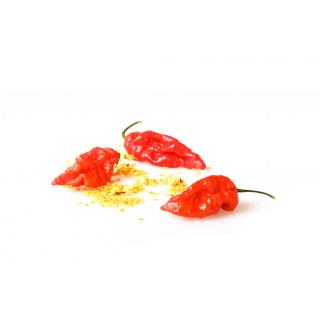 Naga Bhut Jolokia red - semínka chilli