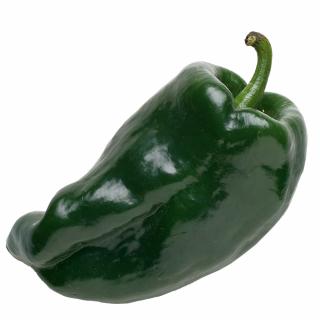 Poblano - semínka chilli