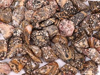 Tromlovaný kámen Jaspis Leopardí L velikost 30 - 50 mm - Brazílie
