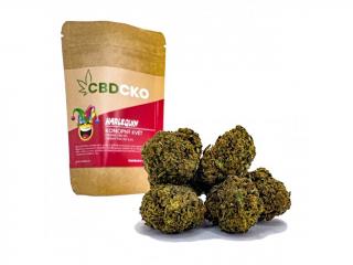 CBDčko CBD Konopný květ Harlequin Váha: 1 g