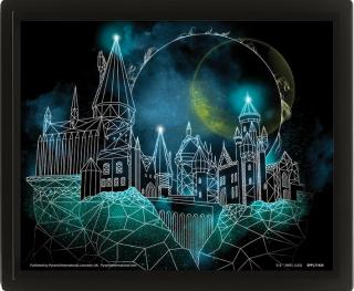 Zarámovaný 3D obraz Harry Potter - Bradavice