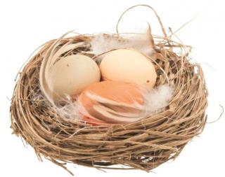 Hnízdo s vajíčky 7 cm  17125