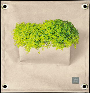 The Green Pockets AMMA - závěsný obal na květináče Béžová
