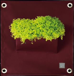 The Green Pockets AMMA - závěsný obal na květináče Vínová