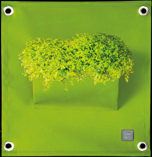 The Green Pockets AMMA - závěsný obal na květináče Zelená