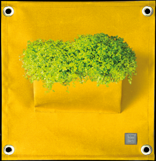 The Green Pockets AMMA - závěsný obal na květináče Žlutá