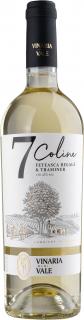 Moldávské bílé víno Vinaria Din Vale - Feteasca Regala - Traminer, 2021