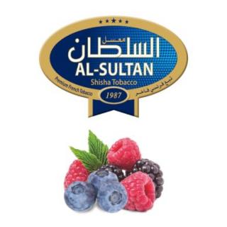 Tabák do vodní dýmky Al-Sultan Berry Land (7), 50g/G