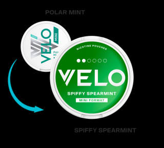 Velo Mini Spiffy Spearmint (Polar Mint) 6 mg