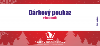 Vánoční dárkový poukaz  -  vyberte si jakou hodnotu potřebujte - 100