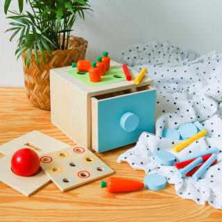 Dřevěný montessori box - Vkládačka 4v1 | Tooky toy