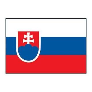 Slovenská vlajka - nalepovací tetování