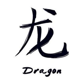 Znamení čínského zvěrokruhu Drak - nalepovací tetování
