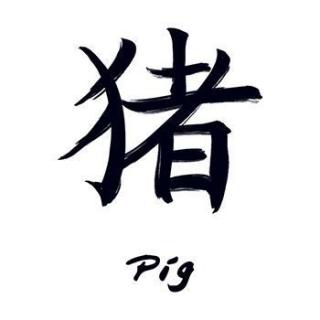 Znamení čínského zvěrokruhu Prase - nalepovací tetování