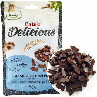 Dentalight Catnip Delicious oceánská ryba Flavour 50g