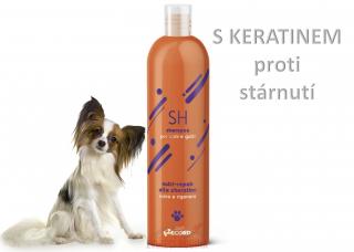 Šampon Record PROFESIONAL 250ml - keratin protistárnoucí efekt