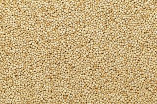 Quinoa bílá BIO 25 kg LES FRUITS DU PARADIS