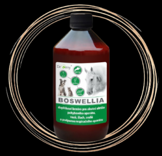 Dromy Boswelia Liquid