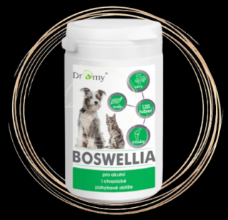 Dromy Boswellia 120 tbl.