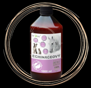 Dromy Echinaceový sirup 1l