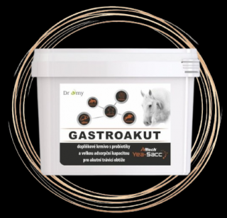 Dromy GastroAkut