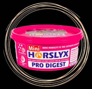 HORSLYX Pro Digest 650g