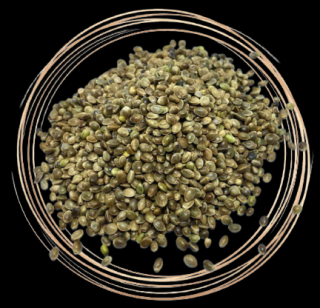 Konopné semínko (Konopné semínko je bohatým zdrojem Omega 3 mastných kyselin, přírodních minerálů a dobře stravitelných bílkovin. Prokazuje se skvělými účinky při podpoře imunitního systému.  )