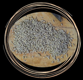 Krmná směs - Křepelka (Forma granulí pro rovnoměrné zastoupení živin)