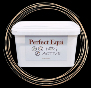 PERFECT EQUI DOG ACTIVE 500g