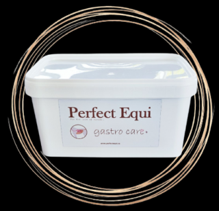 PERFECT EQUI GASTRO CARE+