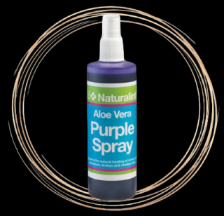 Purple spray s Aloe Vera na hojení ran (Láhev, 200 ml)