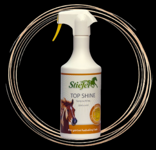 Top Shine - láhev s rozprašovačem 750ml
