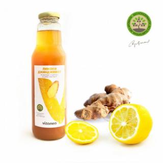 Citronový a Zázvorový sirup Vitanea 1000g