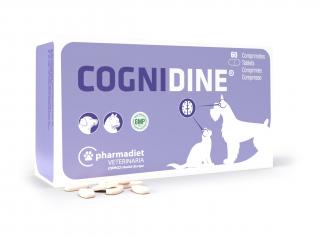 Cognidine 60tbl.