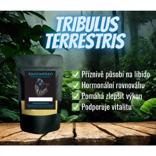 Tribulus Terrestris s 90% saponinů Váha: 20g