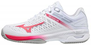 Boty Mizuno Wave Exceed Tour 4 CC 61GC207564 Velikost bot: 7,5 (41)