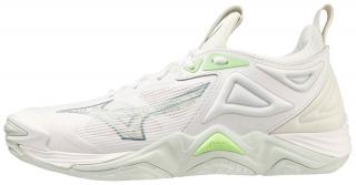 Boty Mizuno Wave Momentum 3 V1GC231235 Velikost bot: 5,5 (38,5)