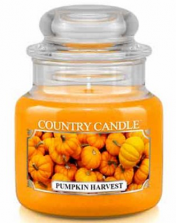 Country Candle - vonná svíčka PUMPKIN HARVEST (Dýňová sklizeň) 104 g