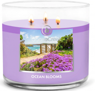 Goose Creek Candle - vonná svíčka OCEAN BLOOMS (Mořské květy) 411 g