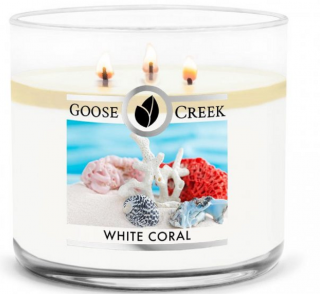 Goose Creek Candle - vonná svíčka WHITE CORAL (Bílý korál) 411 g